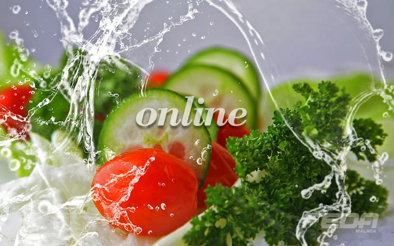 curso-online-nutricion-deportiva-feda-malaga-a1