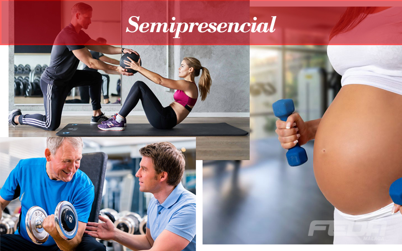 curso-semipresencial-mod5-fitness-entrenador-personal-feda-malaga-a