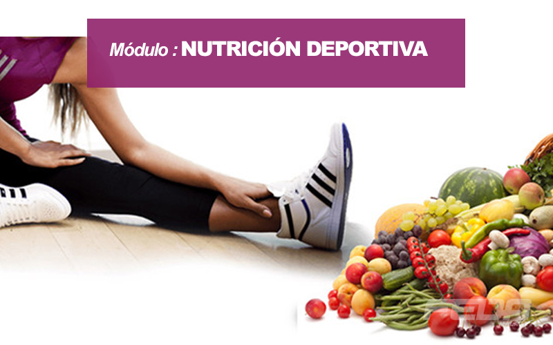 curso-modulo-nutricion-deportiva-fedamalaga-b