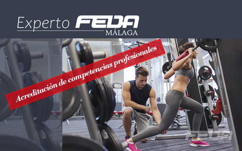 curso-experto-acondicionamiento-fisico-en-sala-de-entrenamiento-polivalente-competencias-profesionales-feda-malaga-c